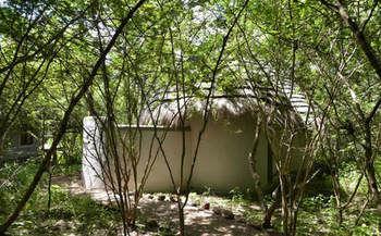 Bakwena Lodge 카사네 외부 사진